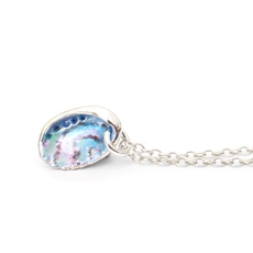 Paua Shell Necklace-jewellery-The Vault