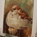 Sparrow Framed Oil Painting Original