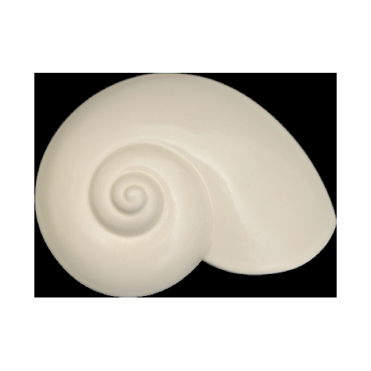Wall Icon Sea Snail - Bone White 