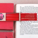 Book Lover’s Pencil Pack of 5 Boxed