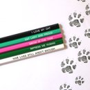 Cat Lover's Pencil Pack of 5 Boxed