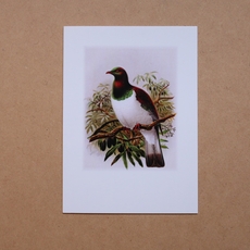 Kereru Buller's Birds Card-cards-The Vault