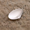 Tuatua Dip Bowl Tonal 