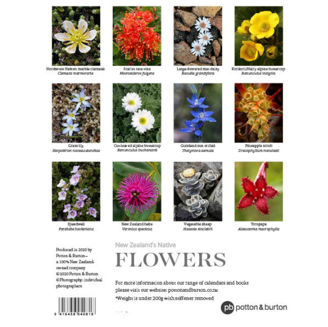 Nz Native Flowers 2021 Calendar Small Shop All Lifestyle Products At The Vault Nz Nz