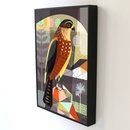 New Zealand Bush Hawk Box Frame Black