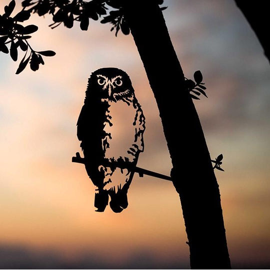 Metalbird Steel Ruru Morepork