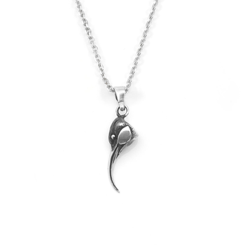 Huia Charm Necklace