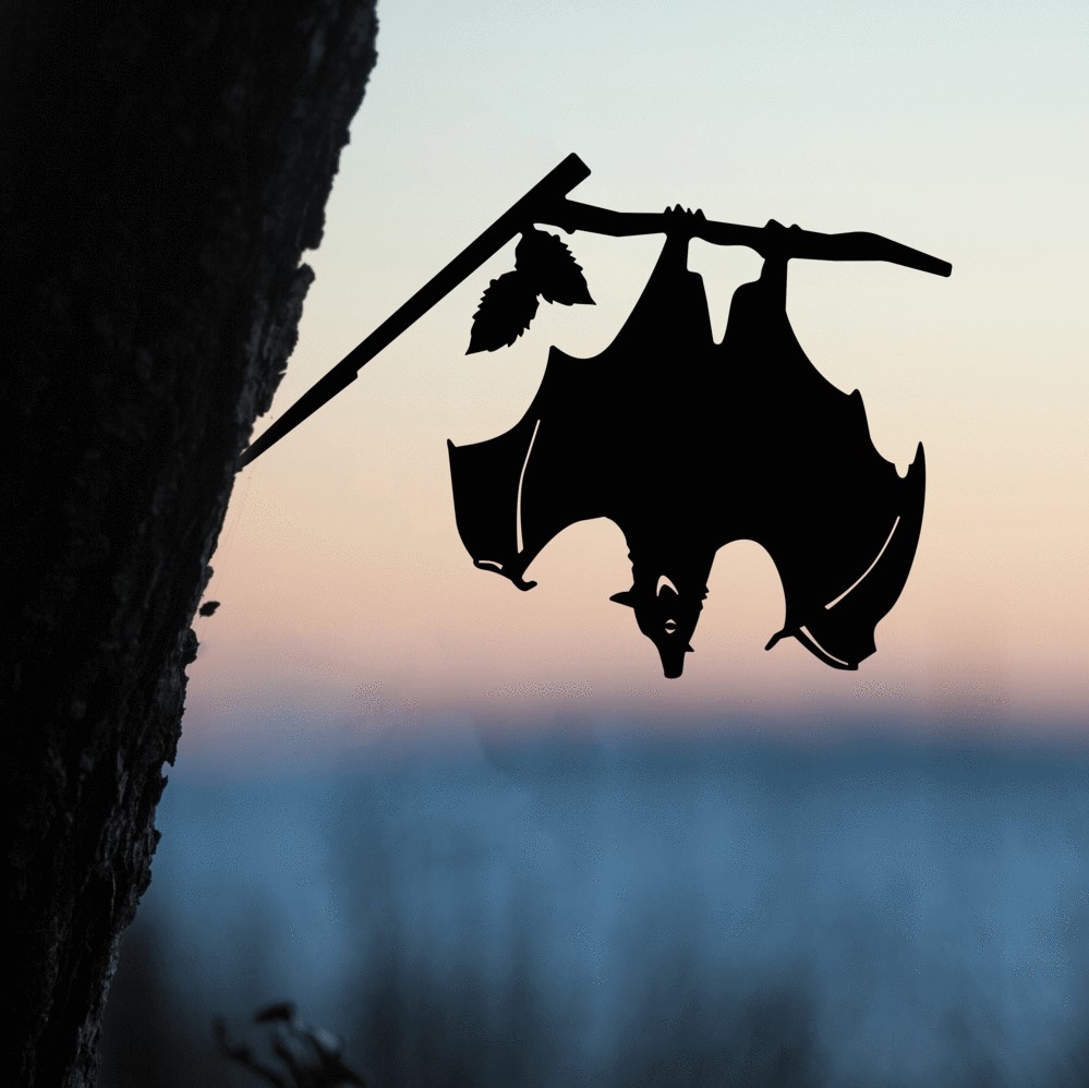 Metalbird Steel Bat - Metalbird at The Vault NZ - NZ