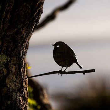 Metalbird Steel Black Robin