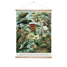 Wall Chart Native Birds of NZ Large-artists-and-brands-The Vault