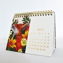 2021 Flox Mini Desk Calendar