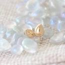 Gem Studs Gold Plate