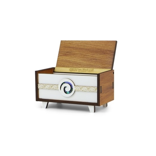 Pop Icon Box Koru Medium