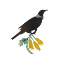 New Zealand Tui Large