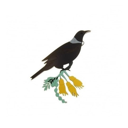 New Zealand Tui Medium