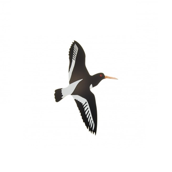 New Zealand Oyster Catcher Small
