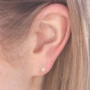 Lotus Studs Gold Plate