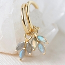 Labradorite Cornflower Hoops Gold Plate