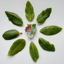 Blooms Enamel Pin