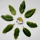 Tauhou Waxeye Enamel Pin