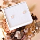 Rose Quartz Filligree Studs Silver