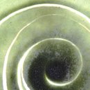 Swirl Bowl & Spoon Green 