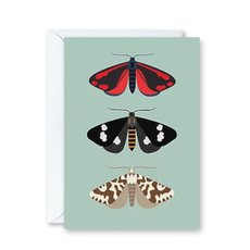 NZ Moths Card-cards-The Vault