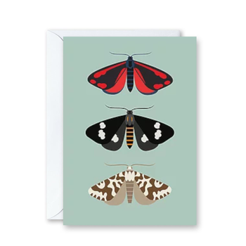 NZ Moths Card