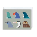 Birds of NZ No2 Card