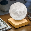 Smart LED Moon Lamp White Ash