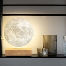 Smart LED Moon Lamp White Ash