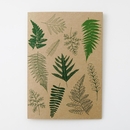 Fern Card
