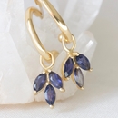 Lolite Cornflower Hoops Gold Plate