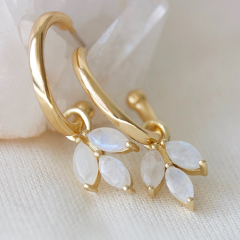 Moonstone Cornflower Hoops Gold Plate