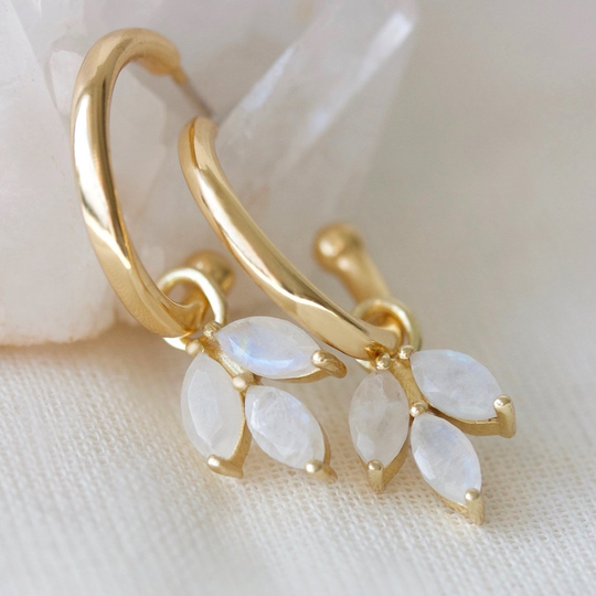 Moonstone Cornflower Hoops Gold Plate