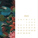 Flox 2022 Mini Calendar