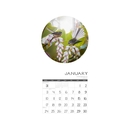 Lucy Gauntlett 2022 Wall Calendar