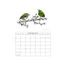 Native Birds Calendar 2022