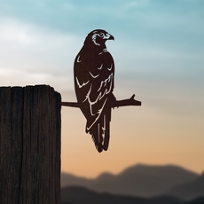 Metalbird Steel Kahu-artists-and-brands-The Vault