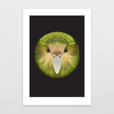 Kakapo A4 Print-artists-and-brands-The Vault