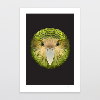 Kakapo A4 Print