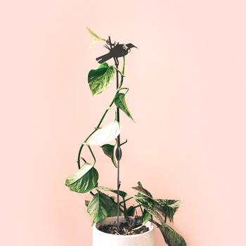 Tui Plant Stake 70cm