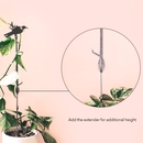 Tui Plant Stake 70cm