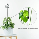Kereru Pair Plant Stake 100cm
