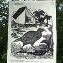 Tea Towel Weka