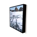 Fox Glacier Neve Print Box Frame