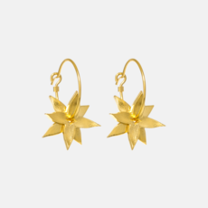 Star Anise Hoop Earrings 22ct Gold Plate-jewellery-The Vault