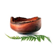 Pohutukawa Wooden Bowl w Feet-artists-and-brands-The Vault