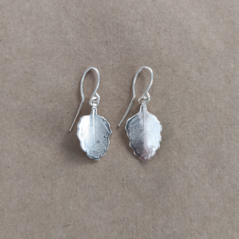 Rolled Silver Beech Earrings Small