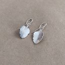 Rolled Silver Beech Earrings Small